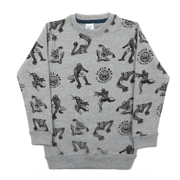 Boys Full Sleeves SweatShirt - Ash Grey