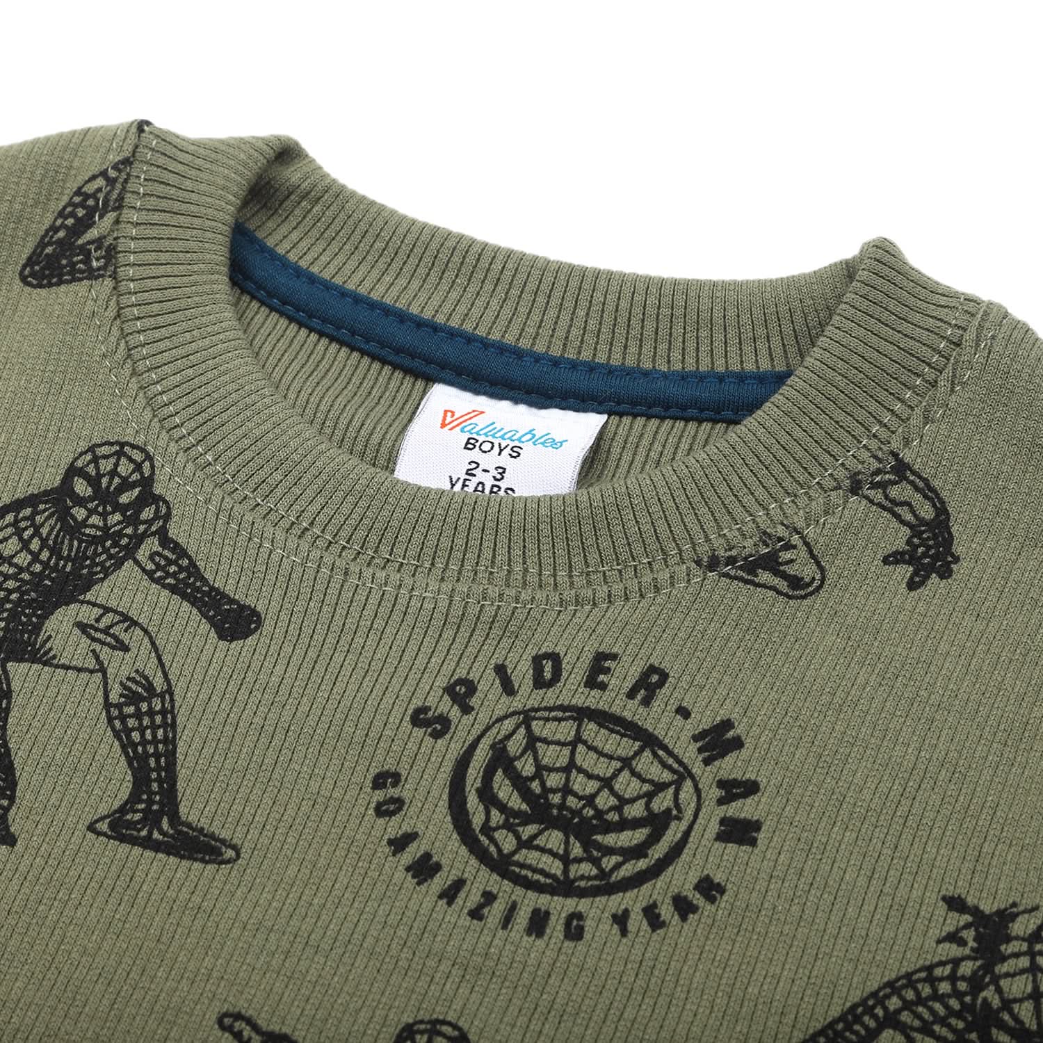 Boys Full Sleeves SweatShirt - Olive, Boys Hoodies & Sweat Shirts, Chase Value, Chase Value
