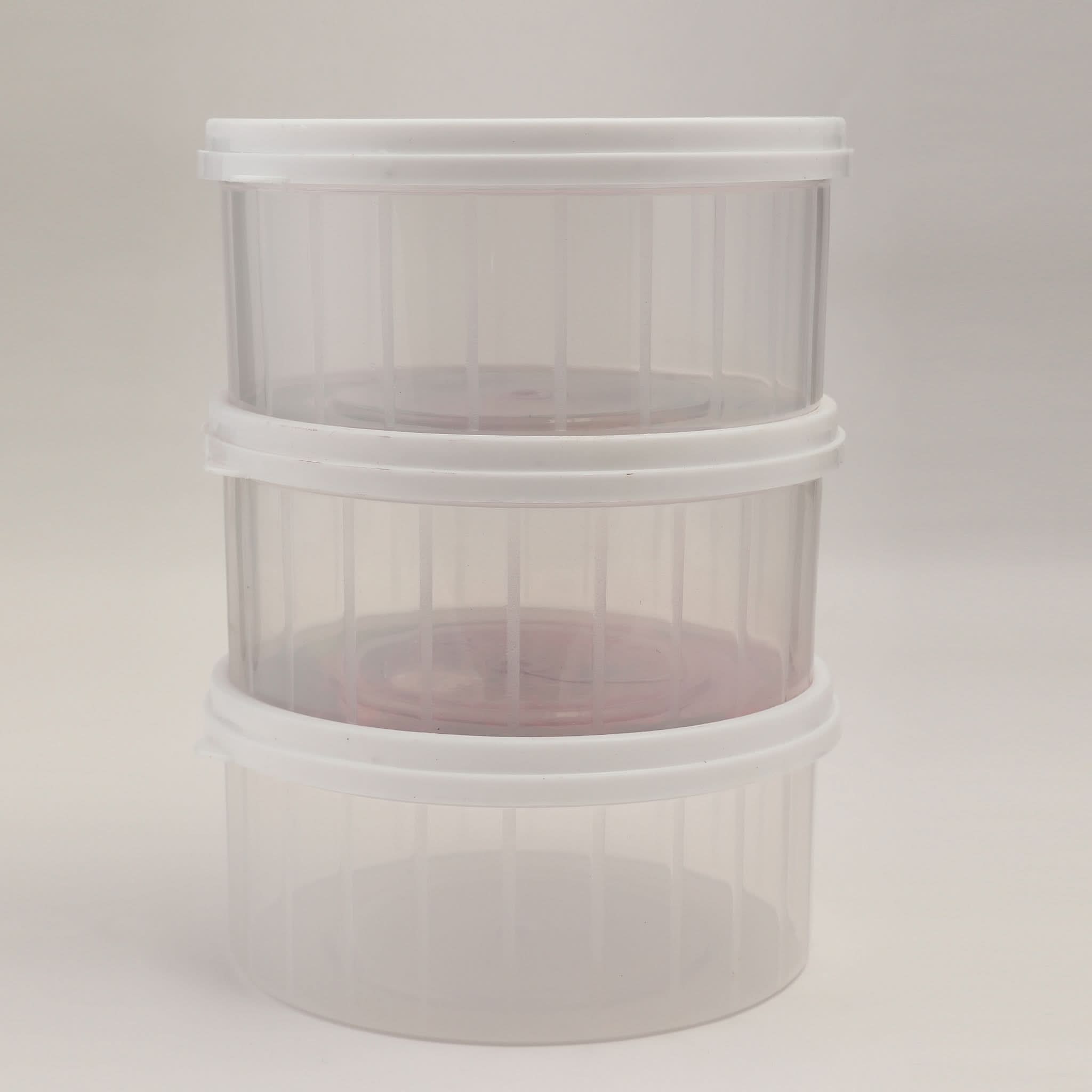 Sweety Box Pack Of 3, Storage Boxes, Chase Value, Chase Value