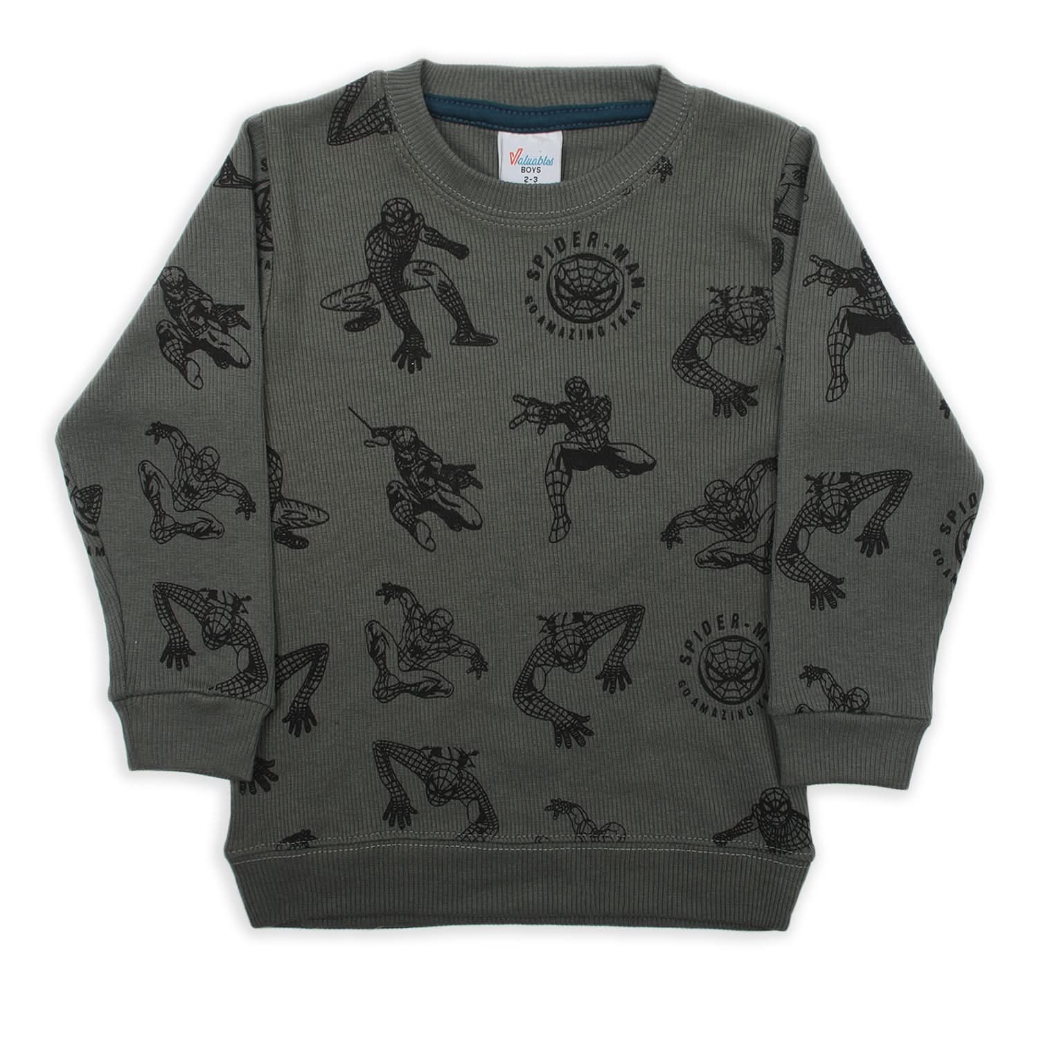 Boys Full Sleeves SweatShirt - Steel Green, Boys Hoodies & Sweat Shirts, Chase Value, Chase Value