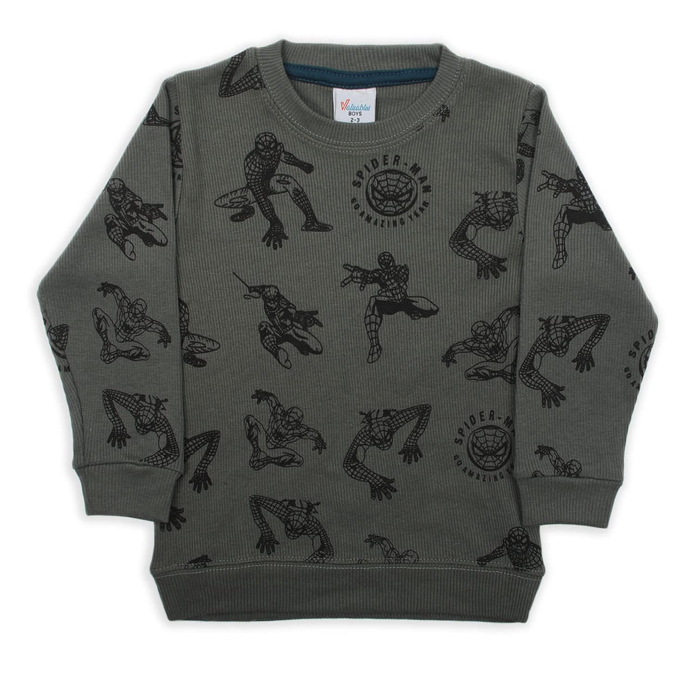 Boys Full Sleeves SweatShirt - Steel Green, Boys Hoodies & Sweat Shirts, Chase Value, Chase Value