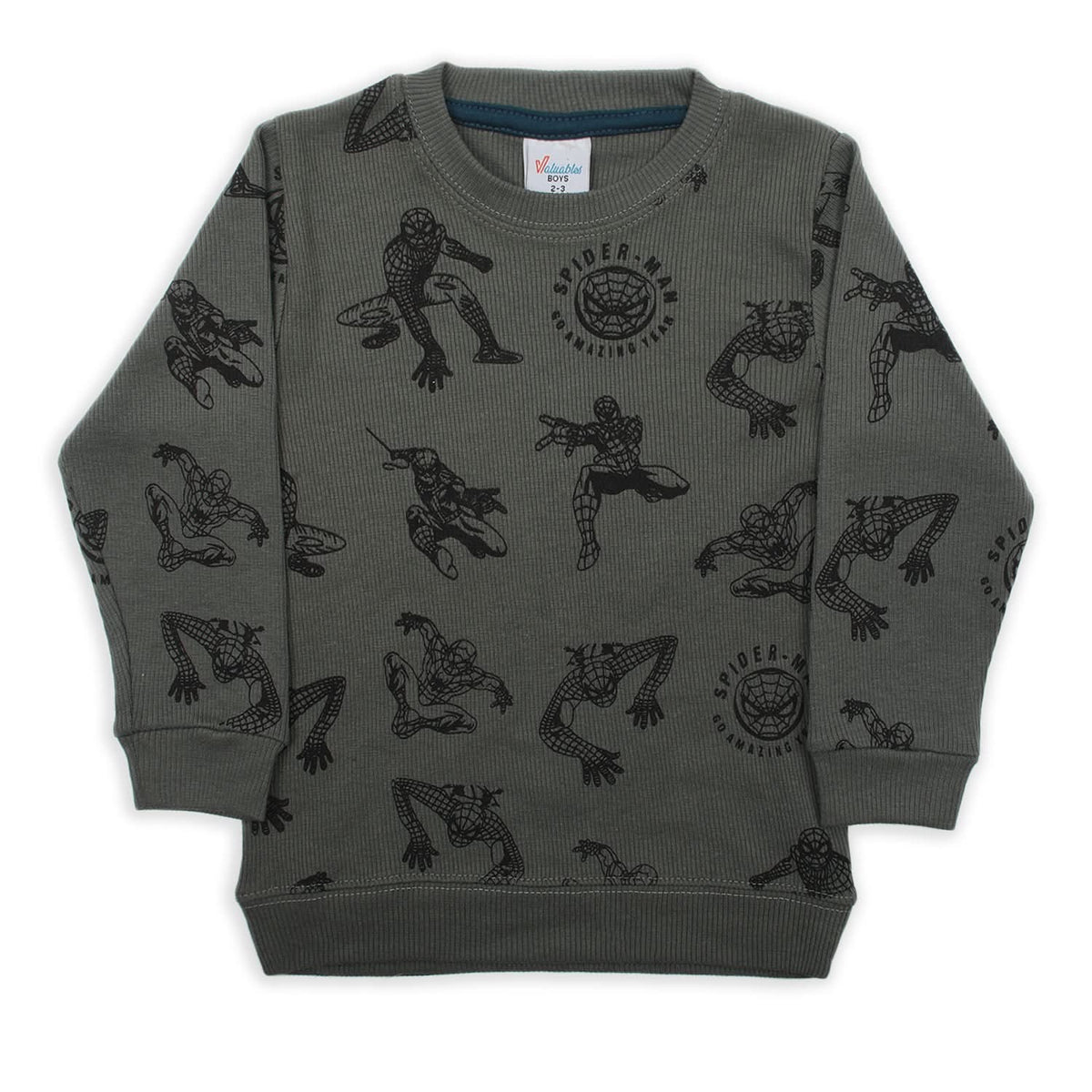 Boys Full Sleeves SweatShirt - Steel Green, Boys Hoodies & Sweat Shirts, Chase Value, Chase Value