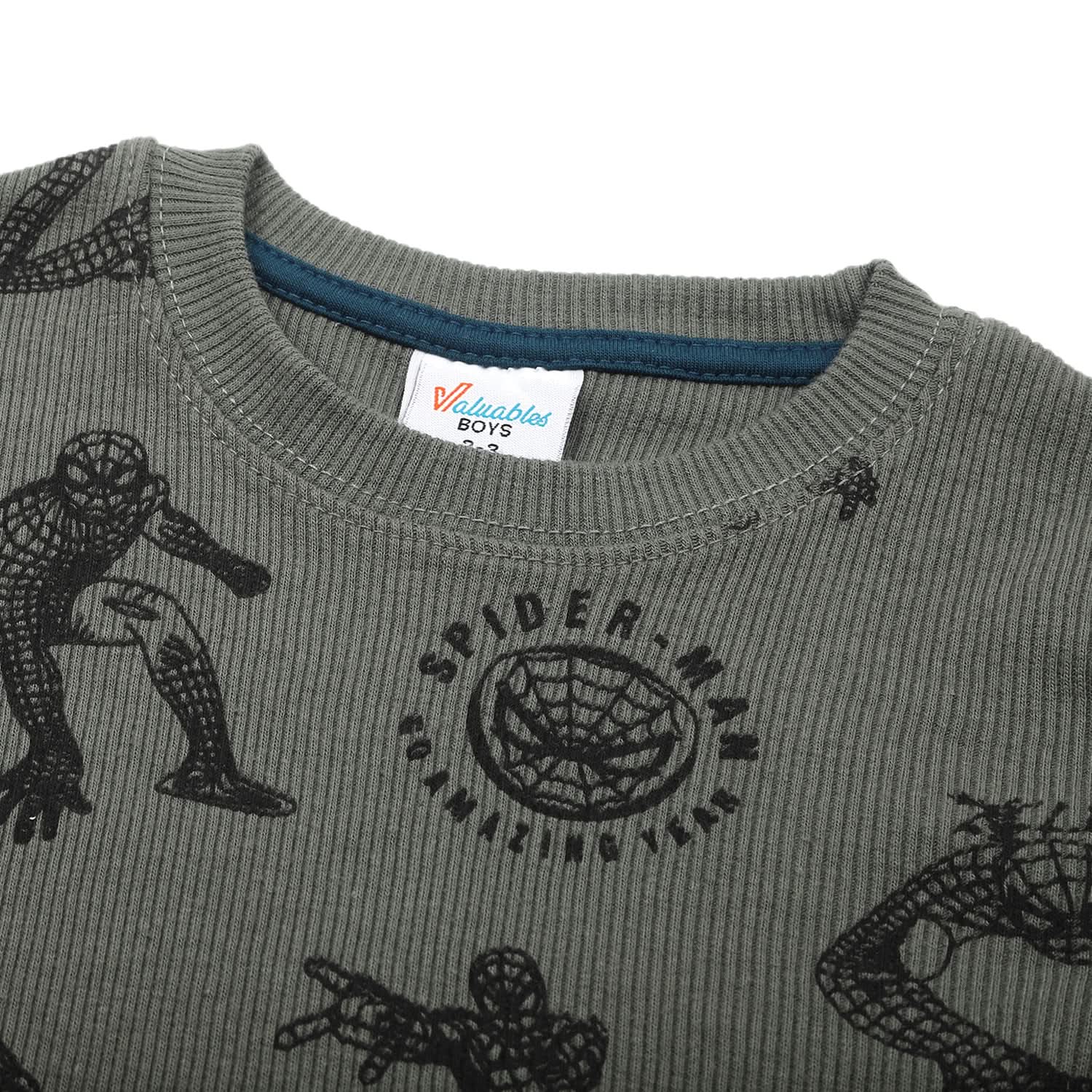 Boys Full Sleeves SweatShirt - Steel Green, Boys Hoodies & Sweat Shirts, Chase Value, Chase Value