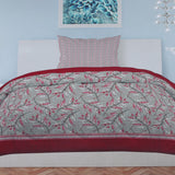Single Bed Sheet Percale Finish - Multi Color, Single Size Bed Sheet, Chase Value, Chase Value
