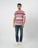 Men's Stripe Half Sleeves T-Shirt