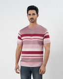Men's Stripe Half Sleeves T-Shirt