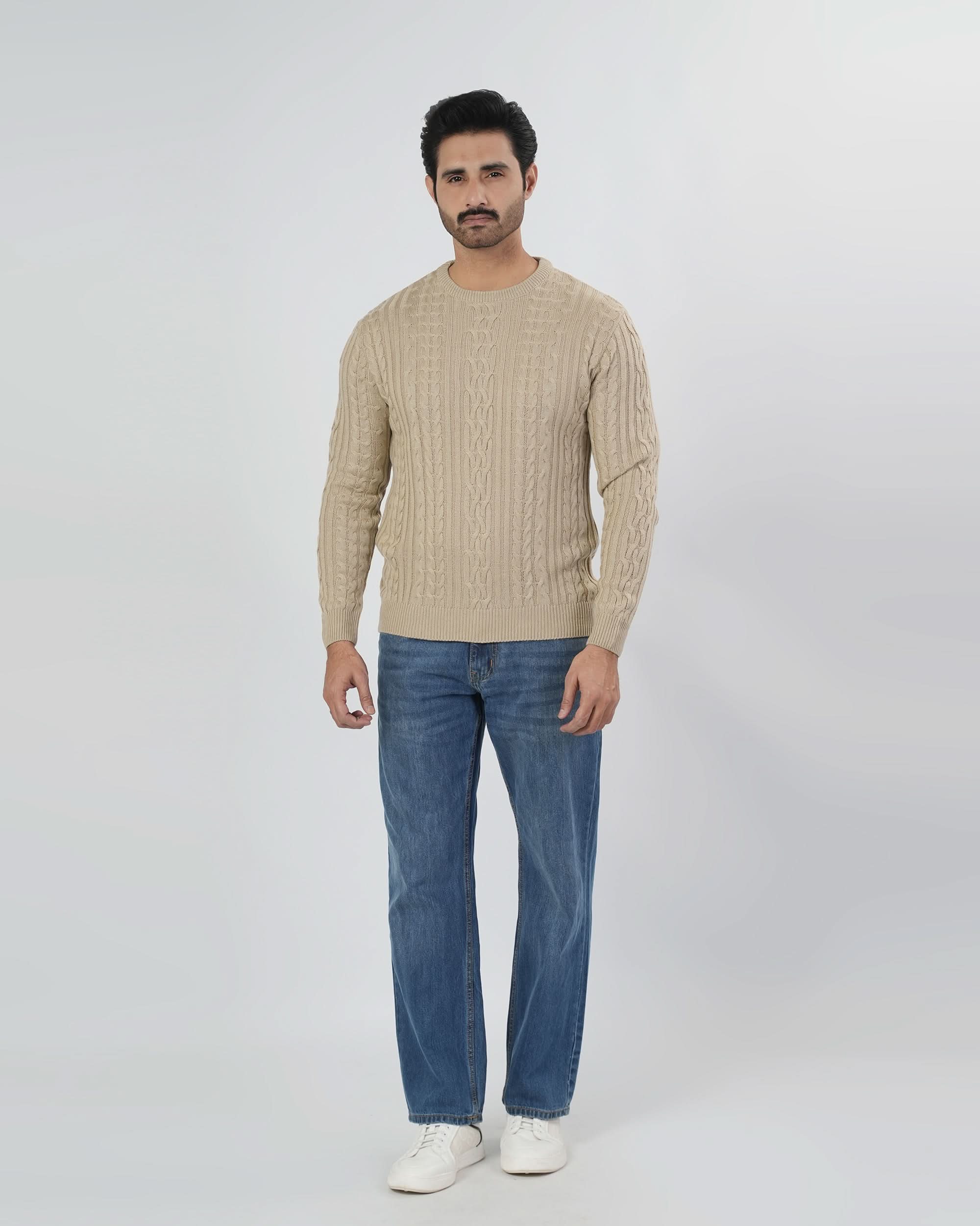 Eminent Men's Round Neck Full Sleeves Sweater, Men's Sweater & Sweat Shirts, Eminent, Chase Value