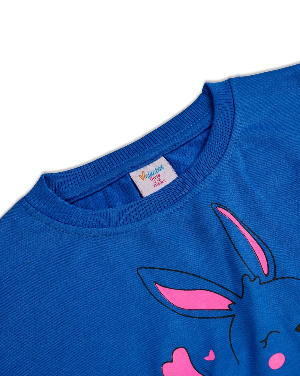 Valuables Girl’s Sweatshirt, Girls Hoodies & Sweat Shirts, Chase Value, Chase Value