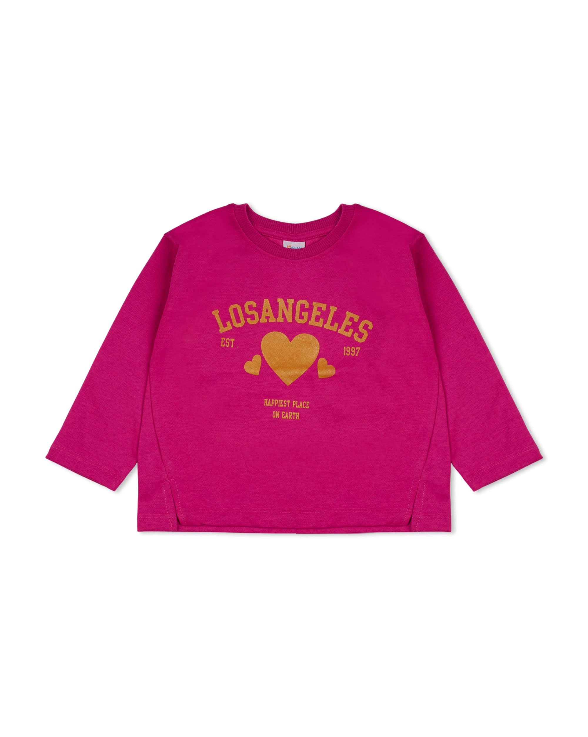 Valuable Girls Sweatshirt, Girls Hoodies & Sweat Shirts, Chase Value, Chase Value