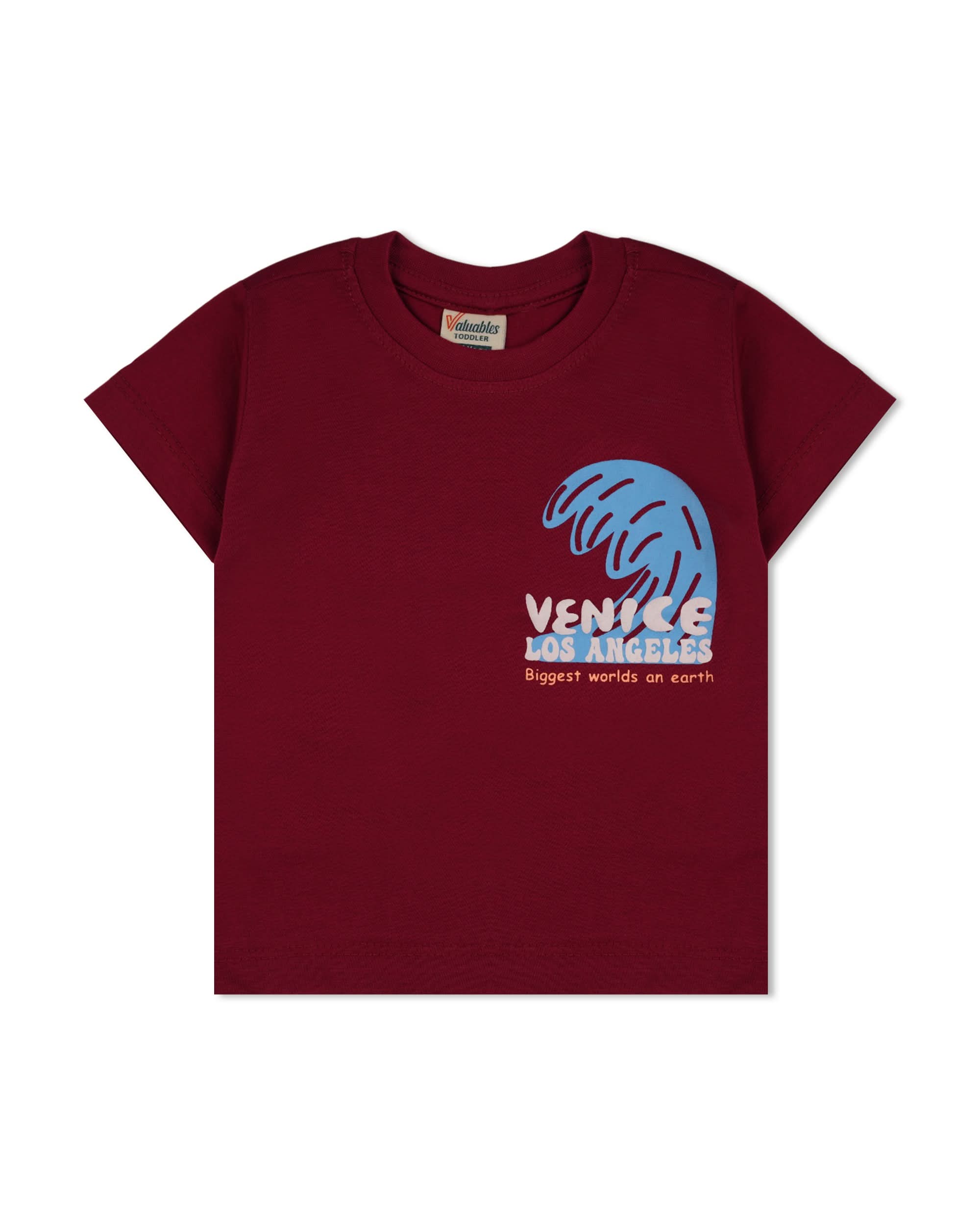 Valuables Boys Half Sleeves T-Shirt, Boys T-Shirts, Chase Value, Chase Value