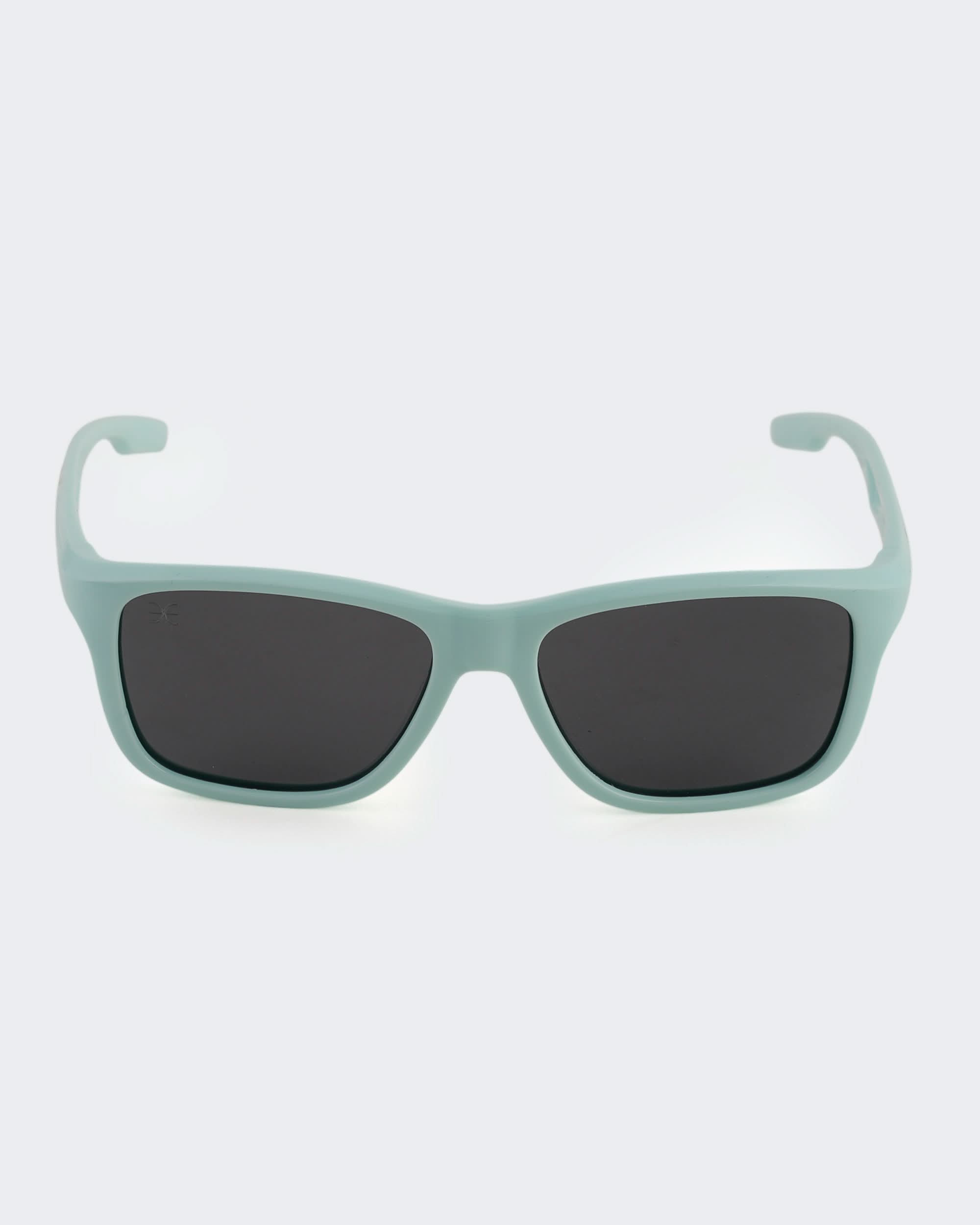 Eminent Classic Rectangular Sunglasses, Boys Sunglasses, Eminent, Chase Value