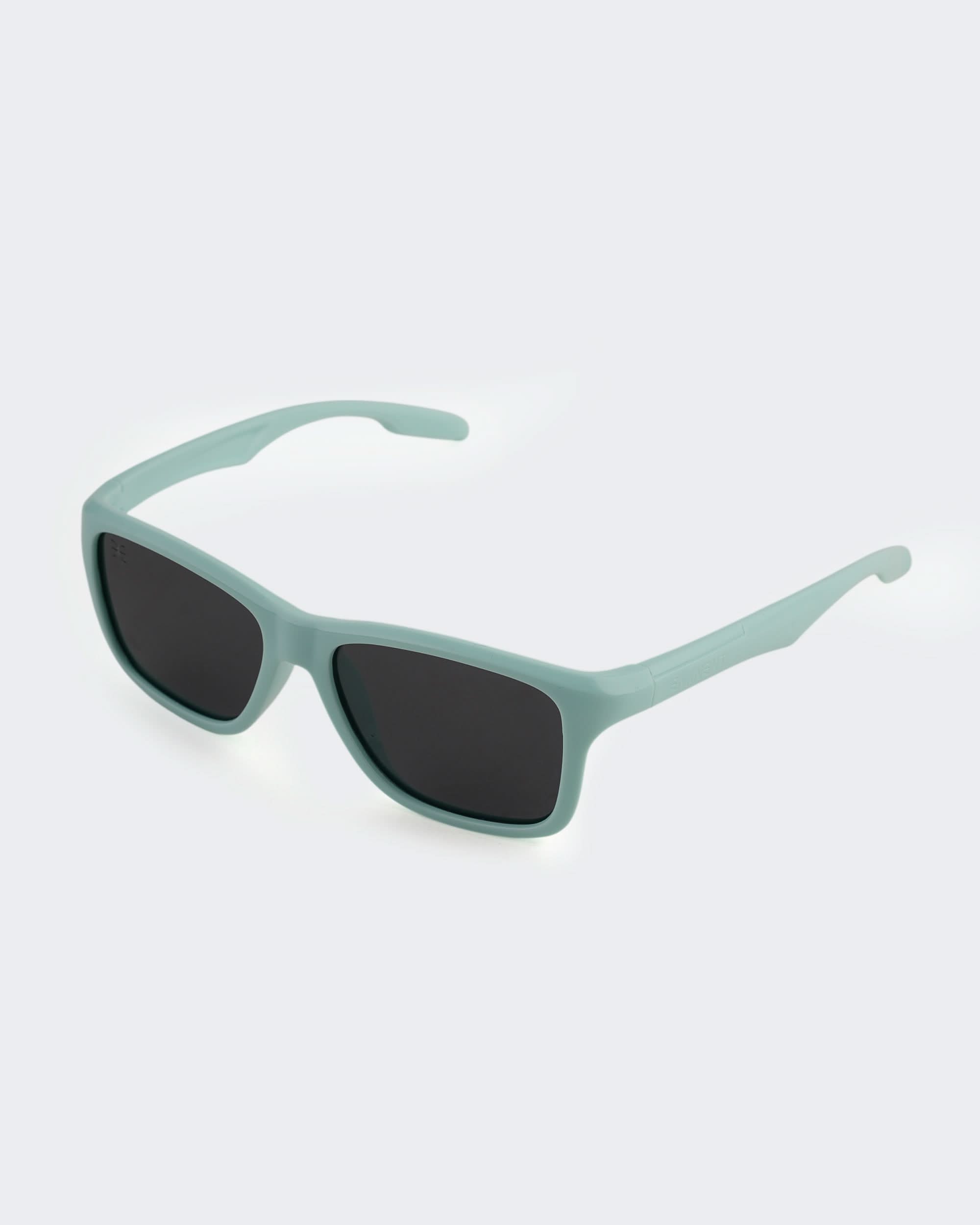 Eminent Classic Rectangular Sunglasses, Boys Sunglasses, Eminent, Chase Value