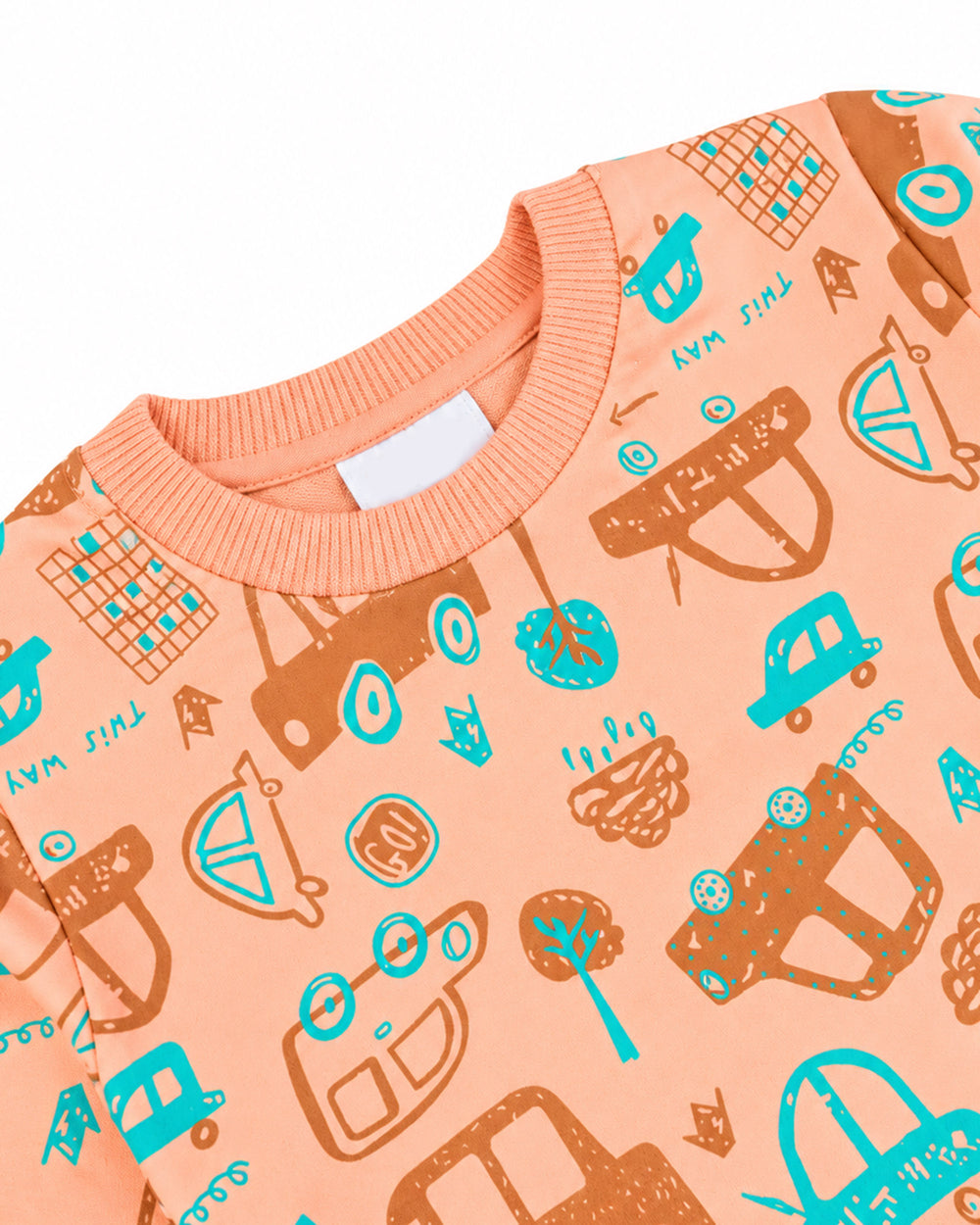 Valuables Newborn Boys Round Neck Sweatshirt, Newborn Boys Hoodies & Sweatshirts, Valuables, Chase Value