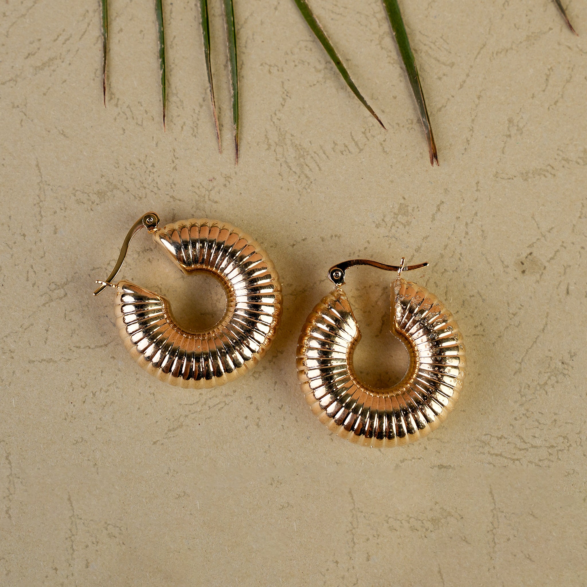 Women's Bali - Golden, Women Earrings & Tops, Chase Value, Chase Value