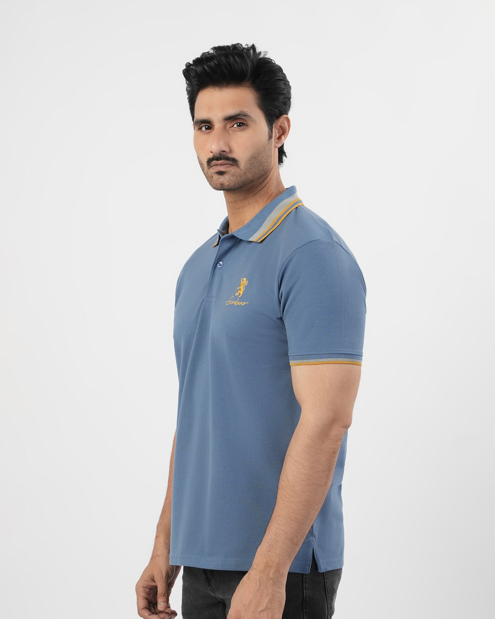 Men’s Half Sleeves Polo T-Shirt, Men's T-Shirts & Polos, Chase Value, Chase Value