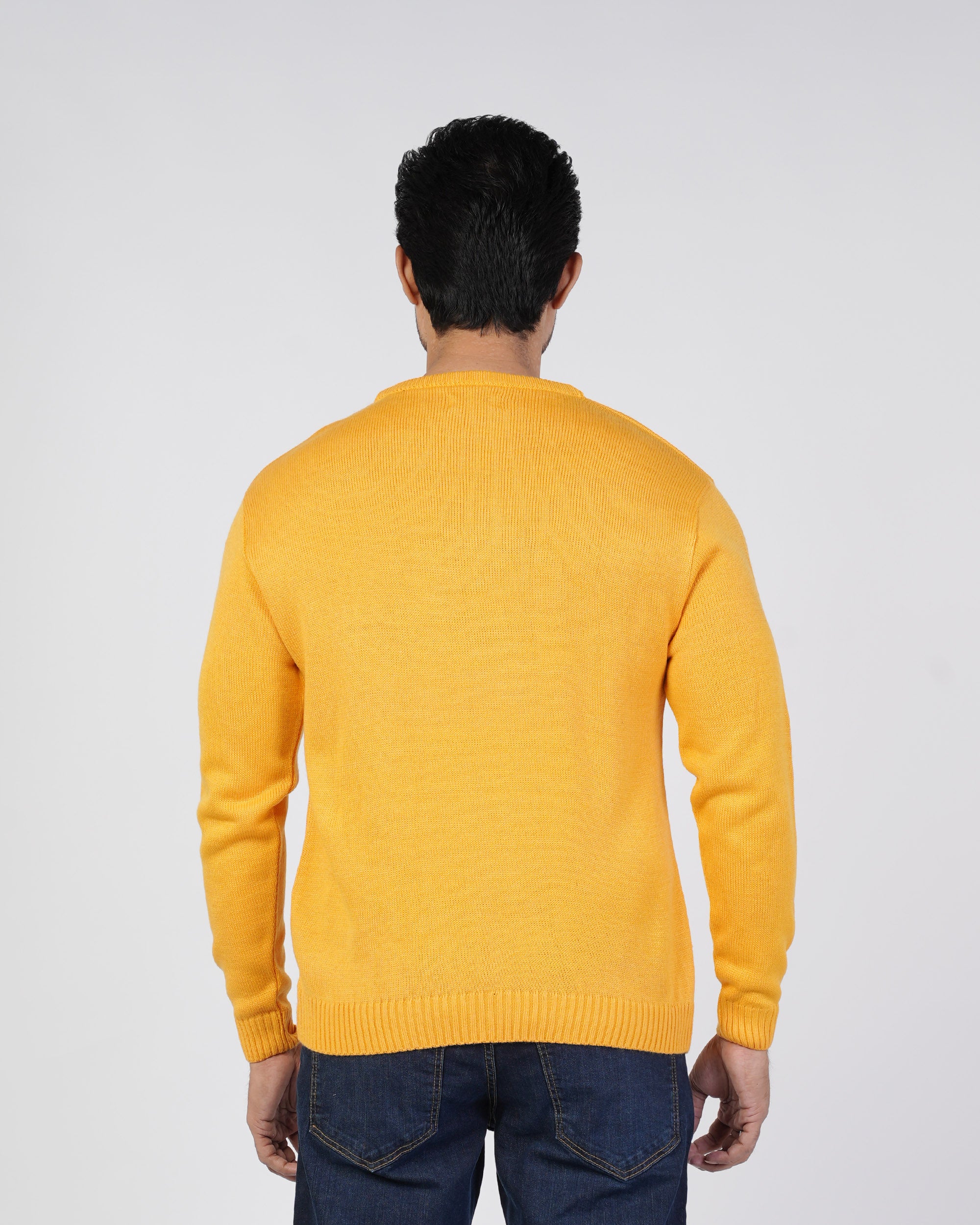 Men Full Sleeves Sweater, Men's Sweater & Sweat Shirts, Chase Value, Chase Value