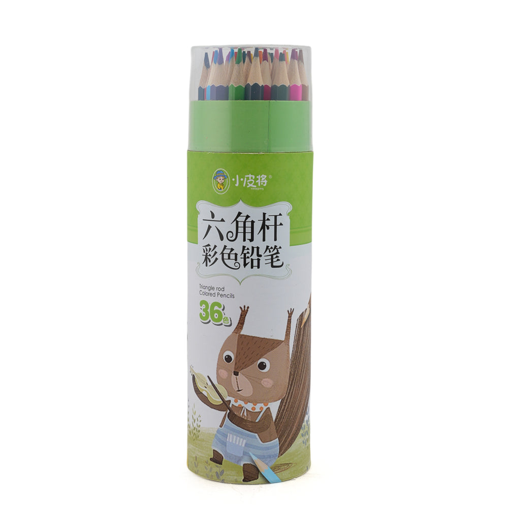 Color Pencil 36 Pcs - Green, Coloring Tools, Chase Value, Chase Value