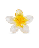 Women's Hair Catcher