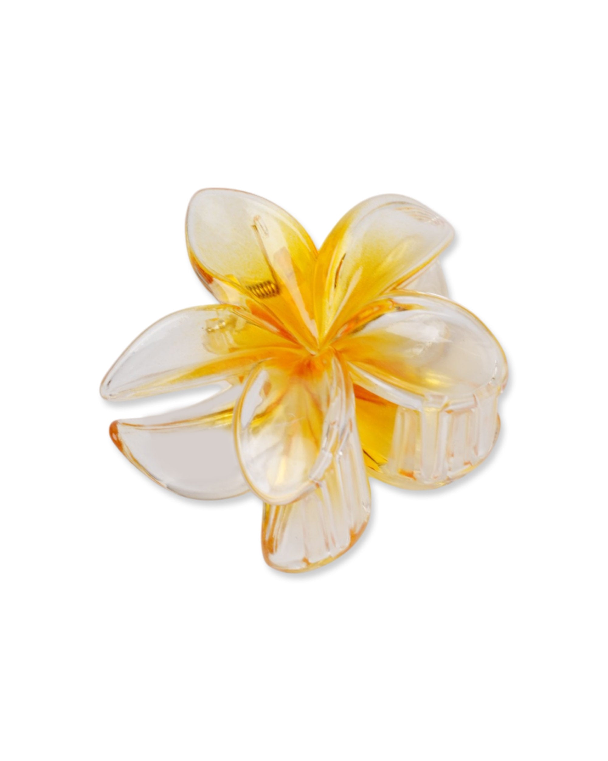Women's Hair Catcher