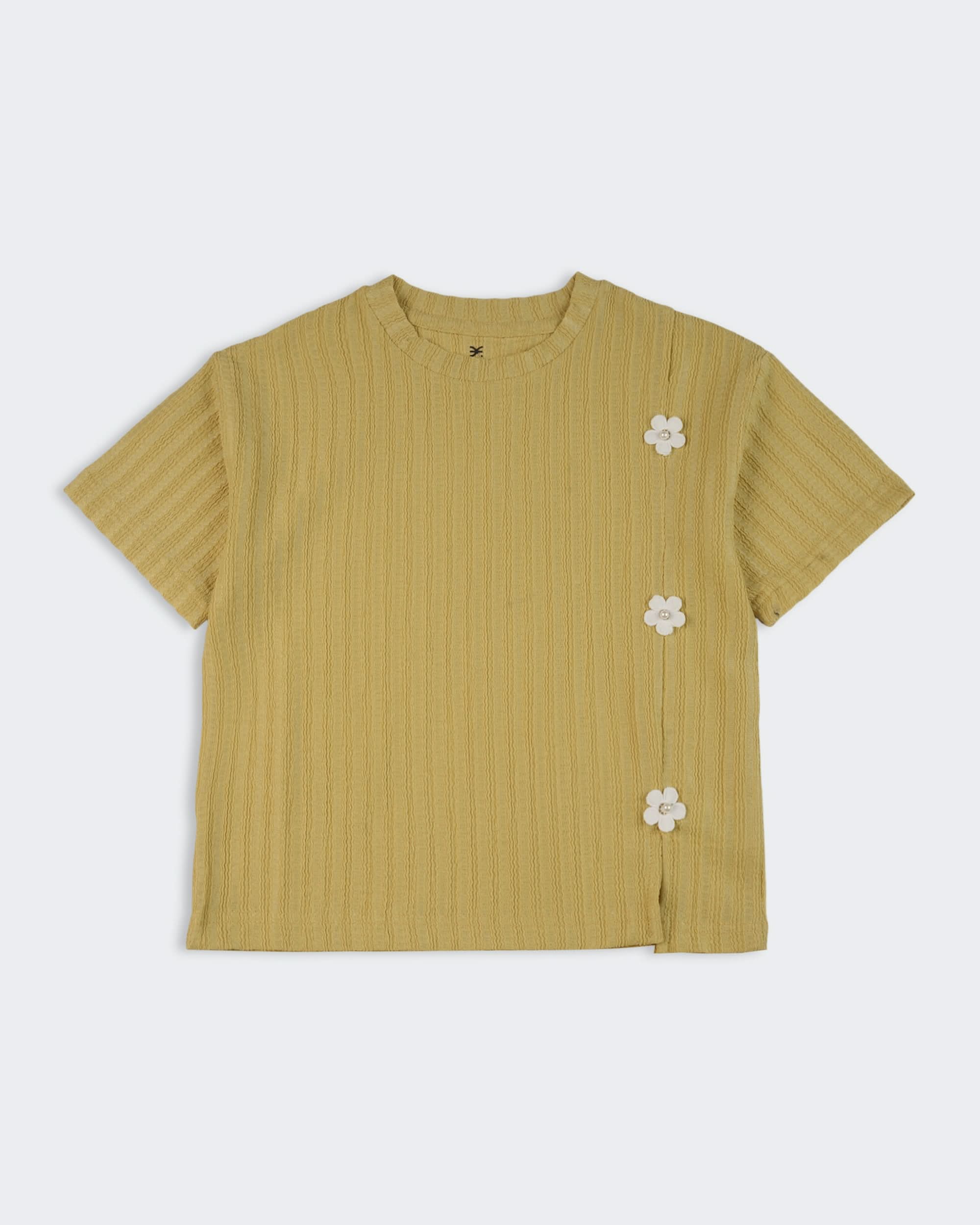 Eminent Girls Half Sleeves T-Shirt, Girls T-Shirts, Eminent, Chase Value
