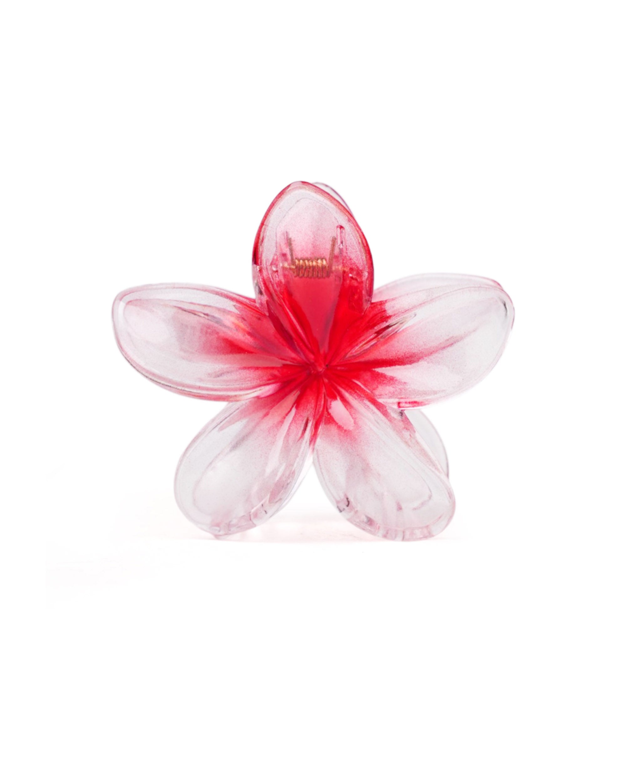 Women's Hair Catcher