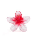 Women's Hair Catcher