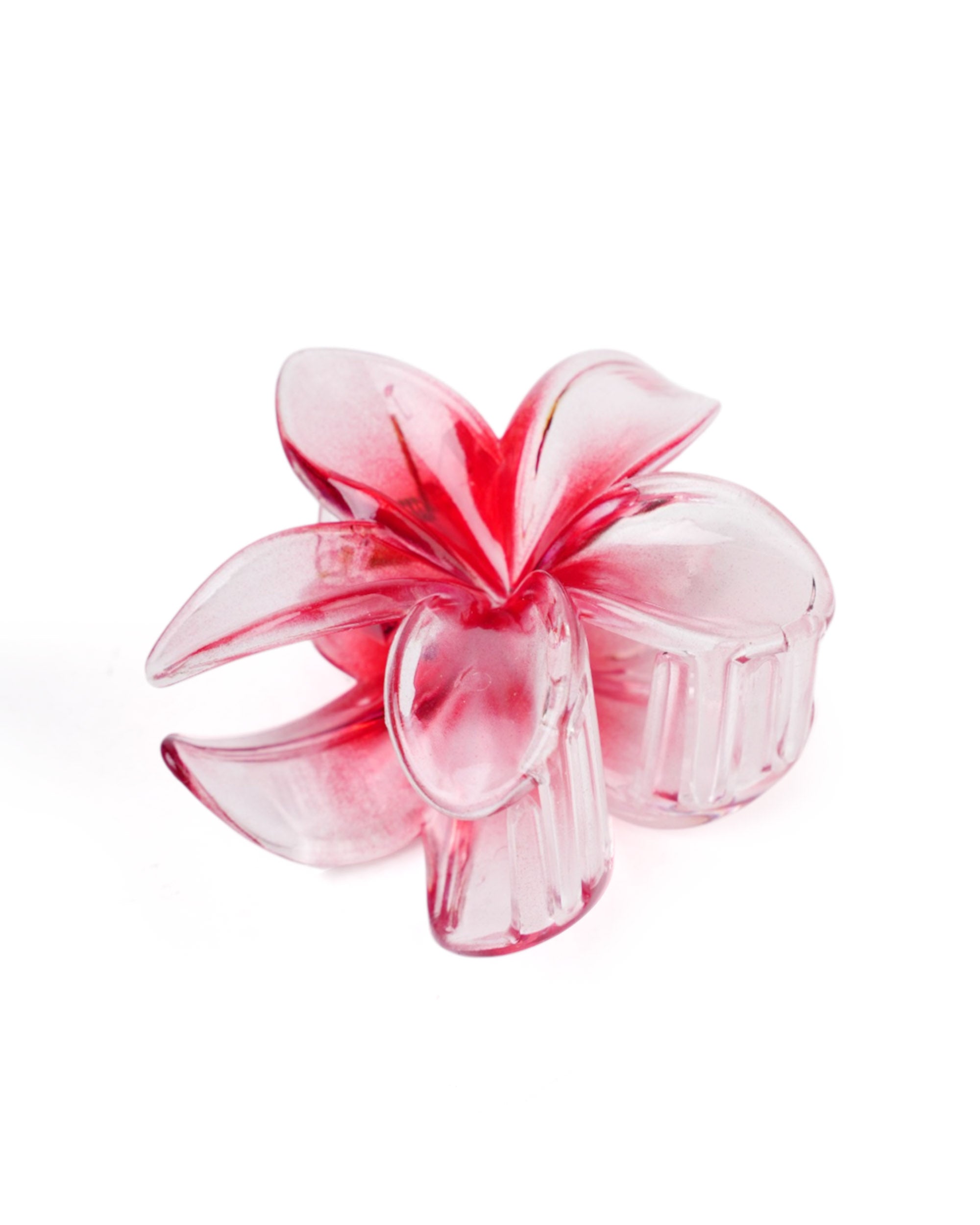 Women's Hair Catcher