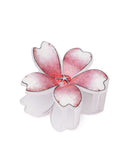 Women's Hair Catcher