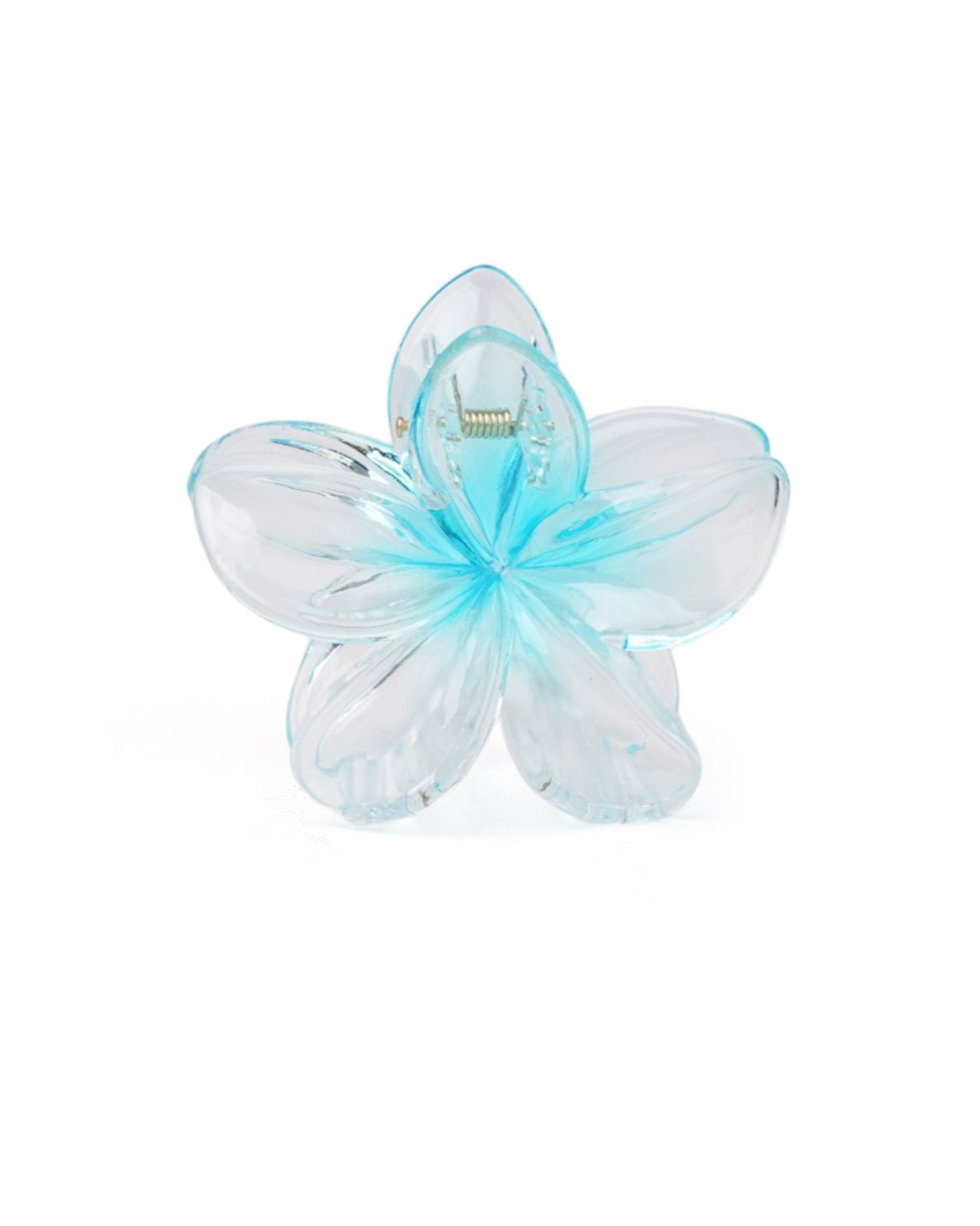 Women's Hair Catcher