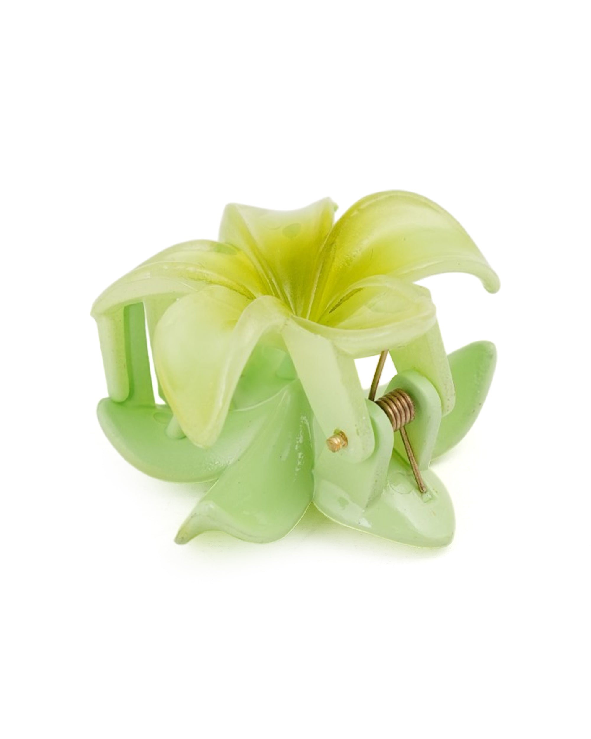 Flower Catcher
