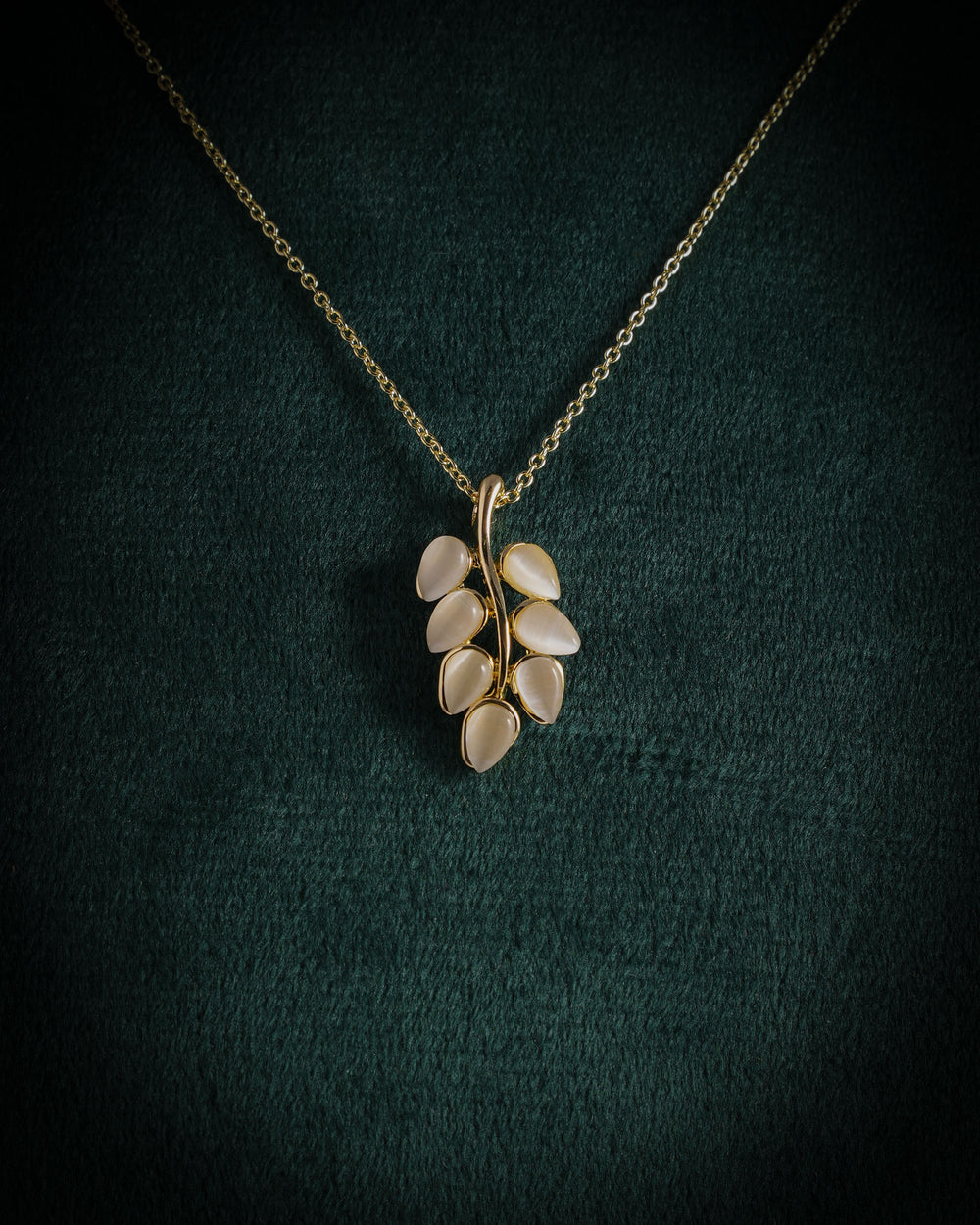 Eminent Women's Chain Locket Earing Set, Girls Jewellery Sets, Eminent, Chase Value