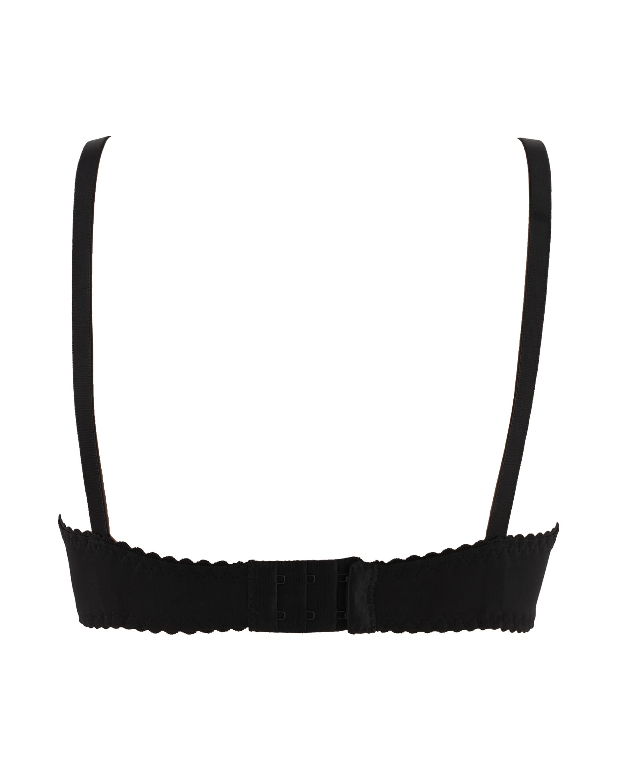 Eminent Women's Bra, Women Bras, Eminent, Chase Value