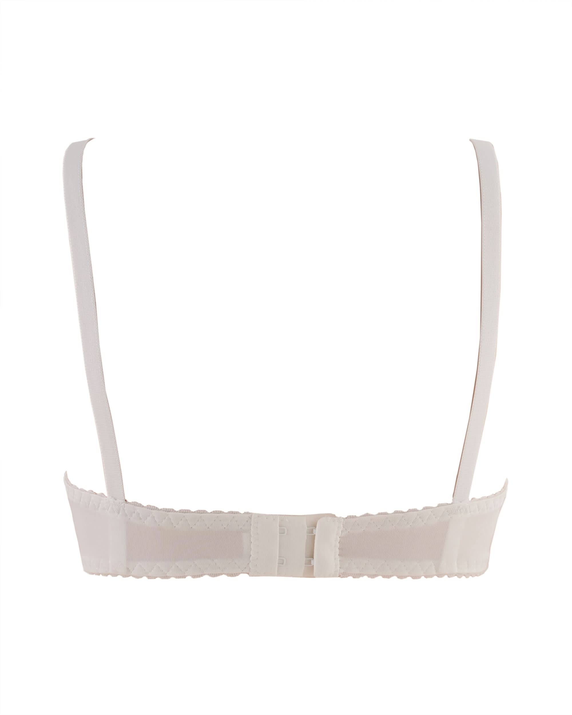 Eminent Women's Bra, Women Bras, Eminent, Chase Value