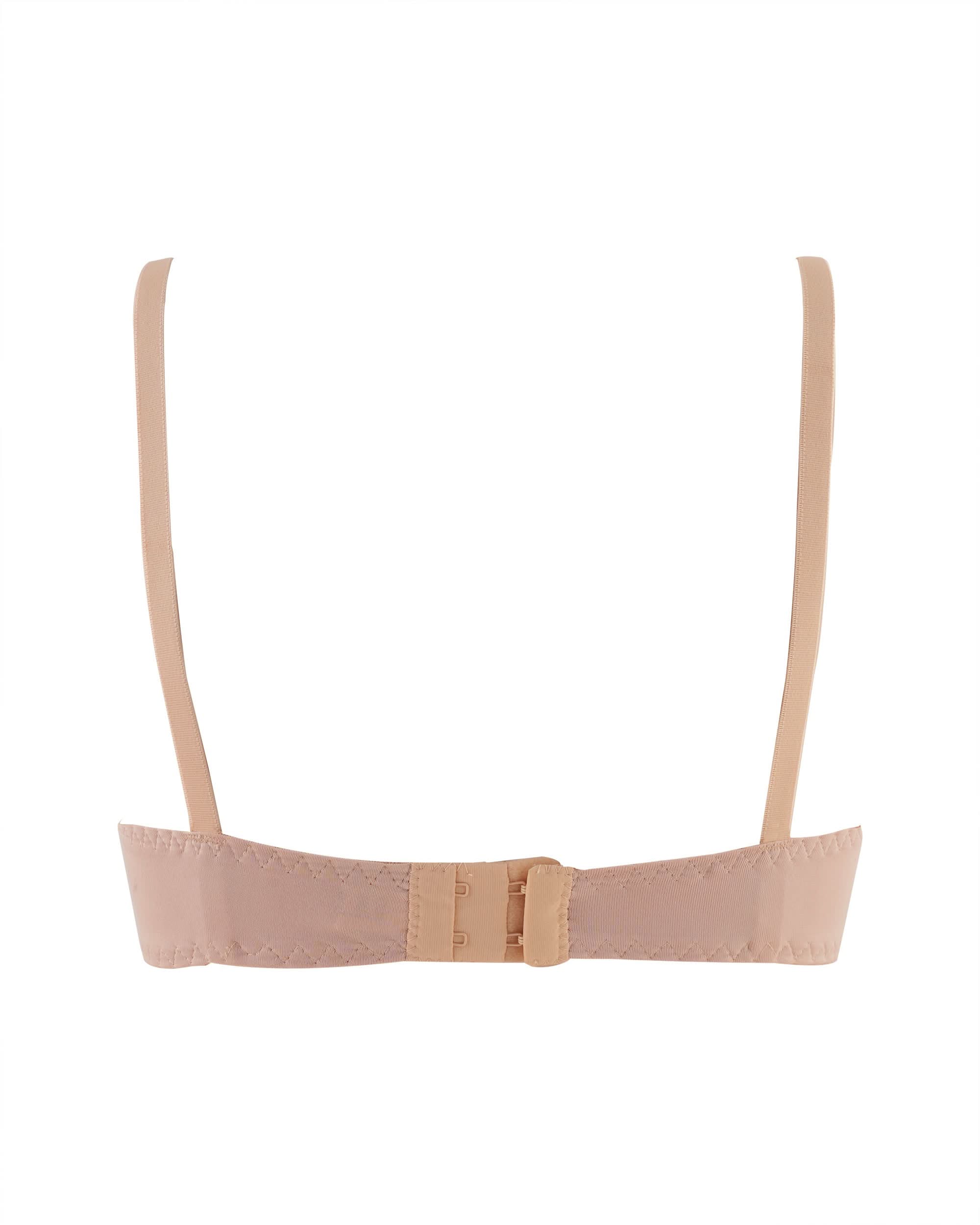Eminent Women's Bra, Women Bras, Eminent, Chase Value