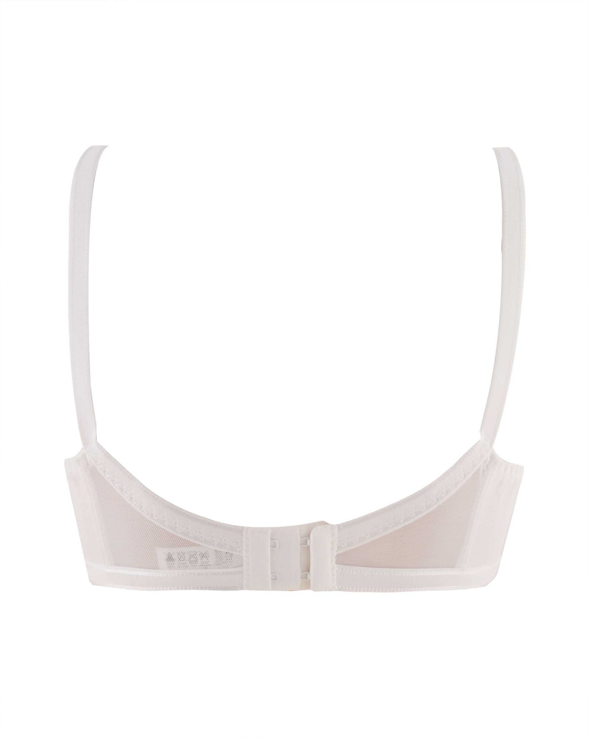Eminent Women's Bra, Women Bras, Eminent, Chase Value