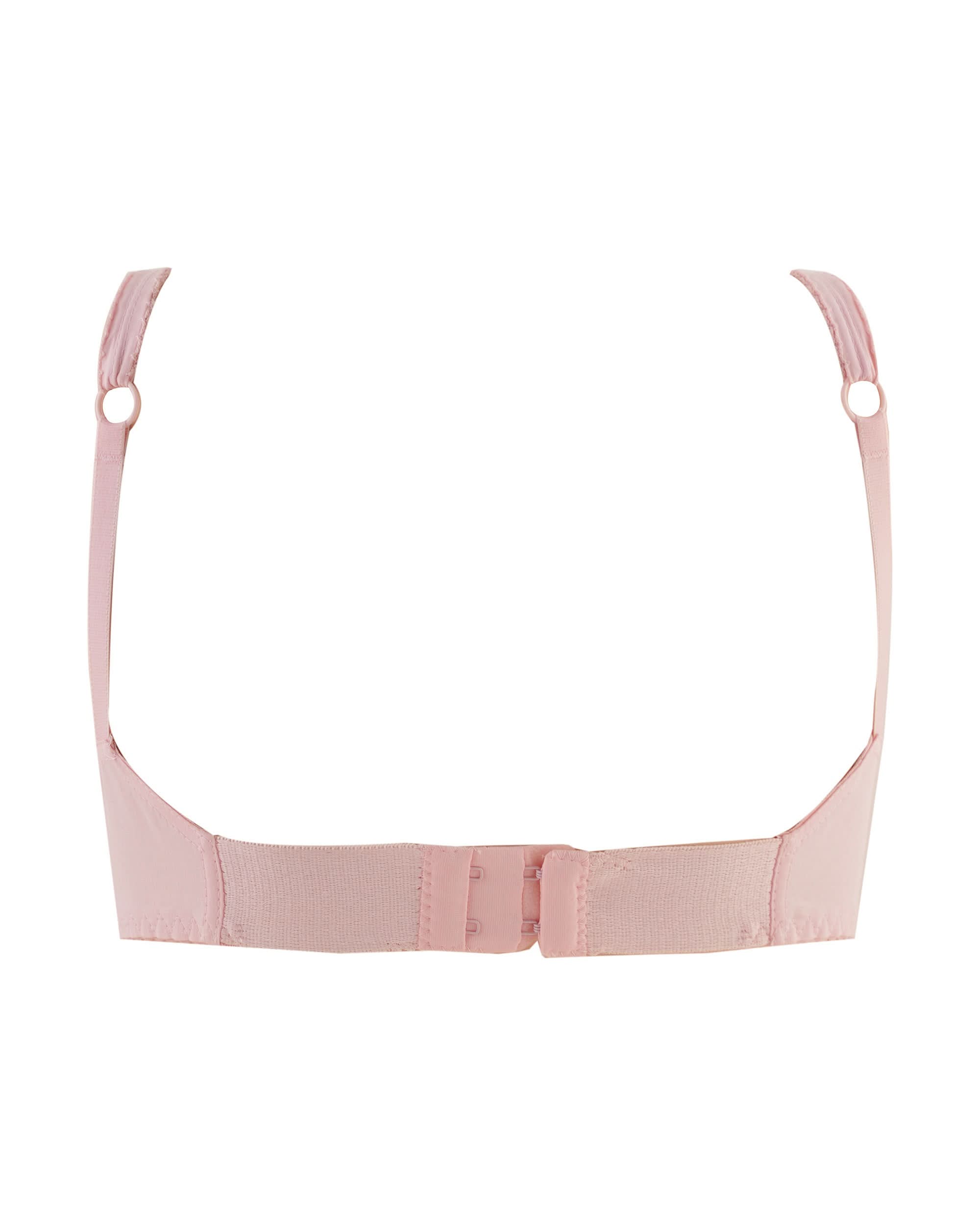 Eminent Women's Bra, Women Bras, Eminent, Chase Value
