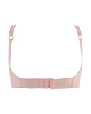 Eminent Women's Bra, Women Bras, Eminent, Chase Value