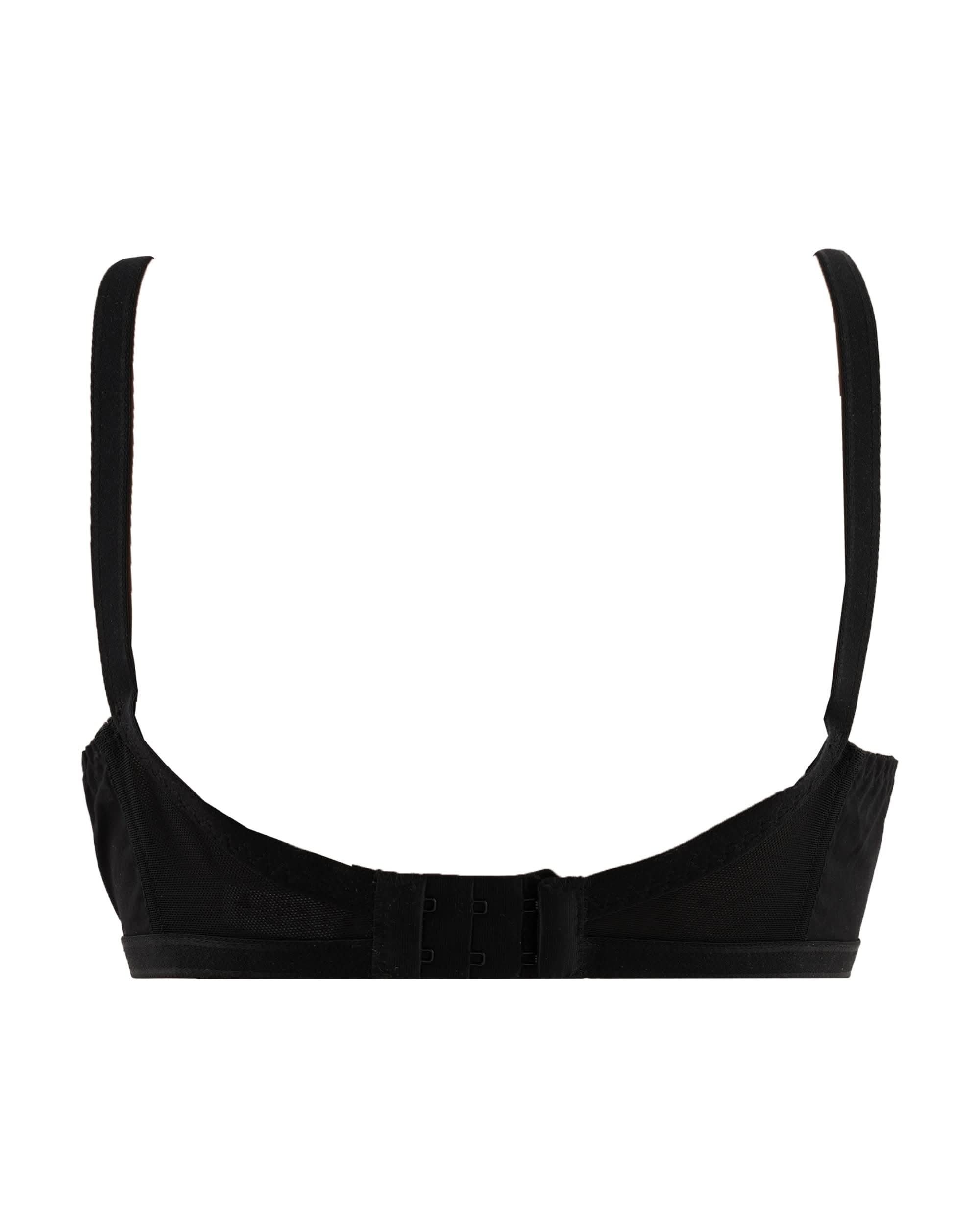 Eminent Women's Bra, Women Bras, Eminent, Chase Value