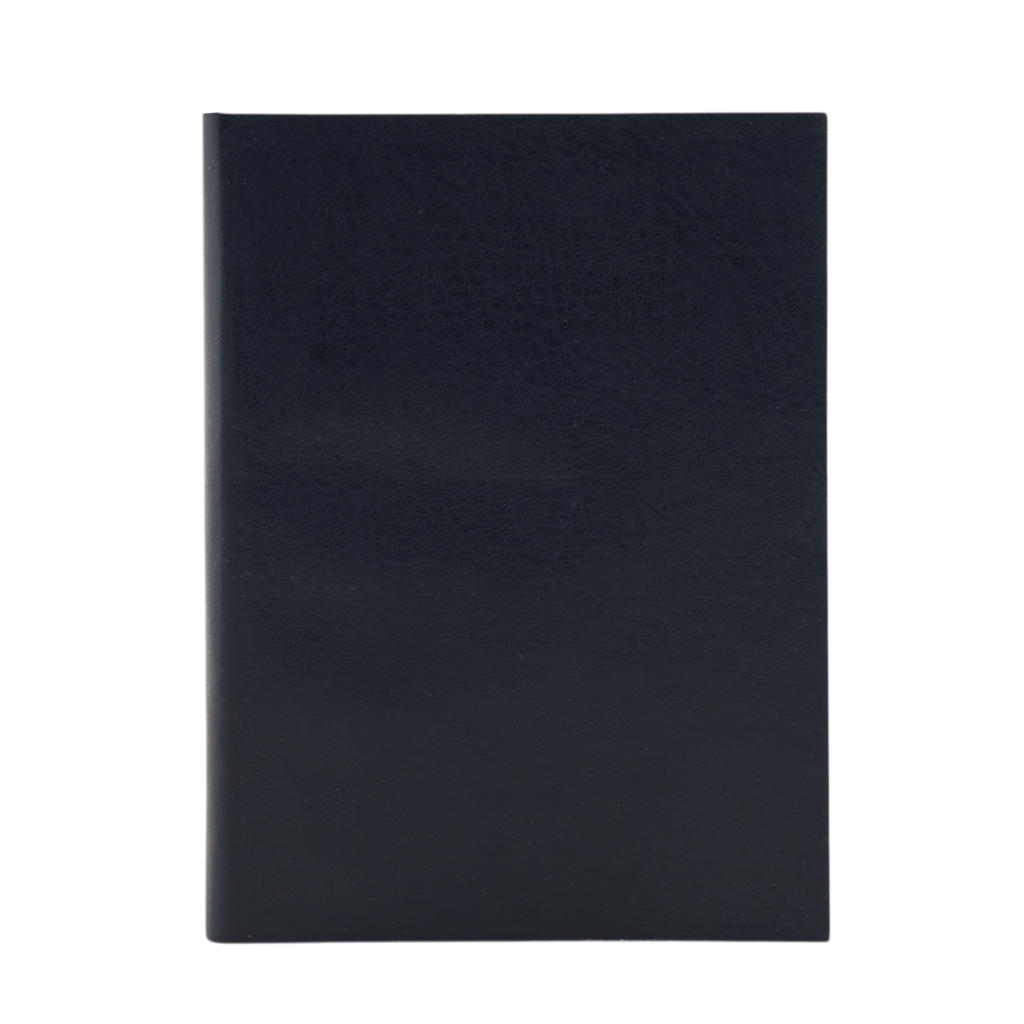 Horse Pocket Notebook – Compact Notebook for Everyday Notes, Notebooks & Diaries, Chase Value, Chase Value