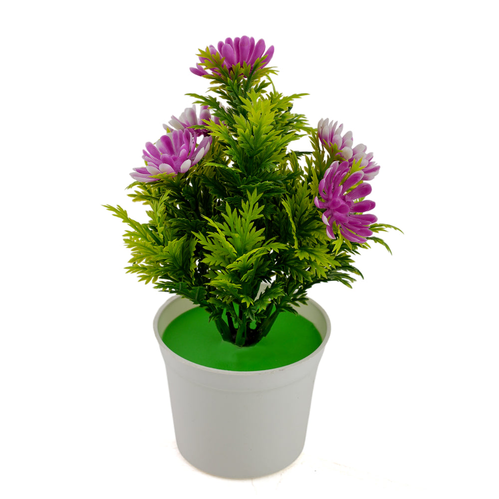 Flower Pot B2 - Purple, Decoration, Chase Value, Chase Value