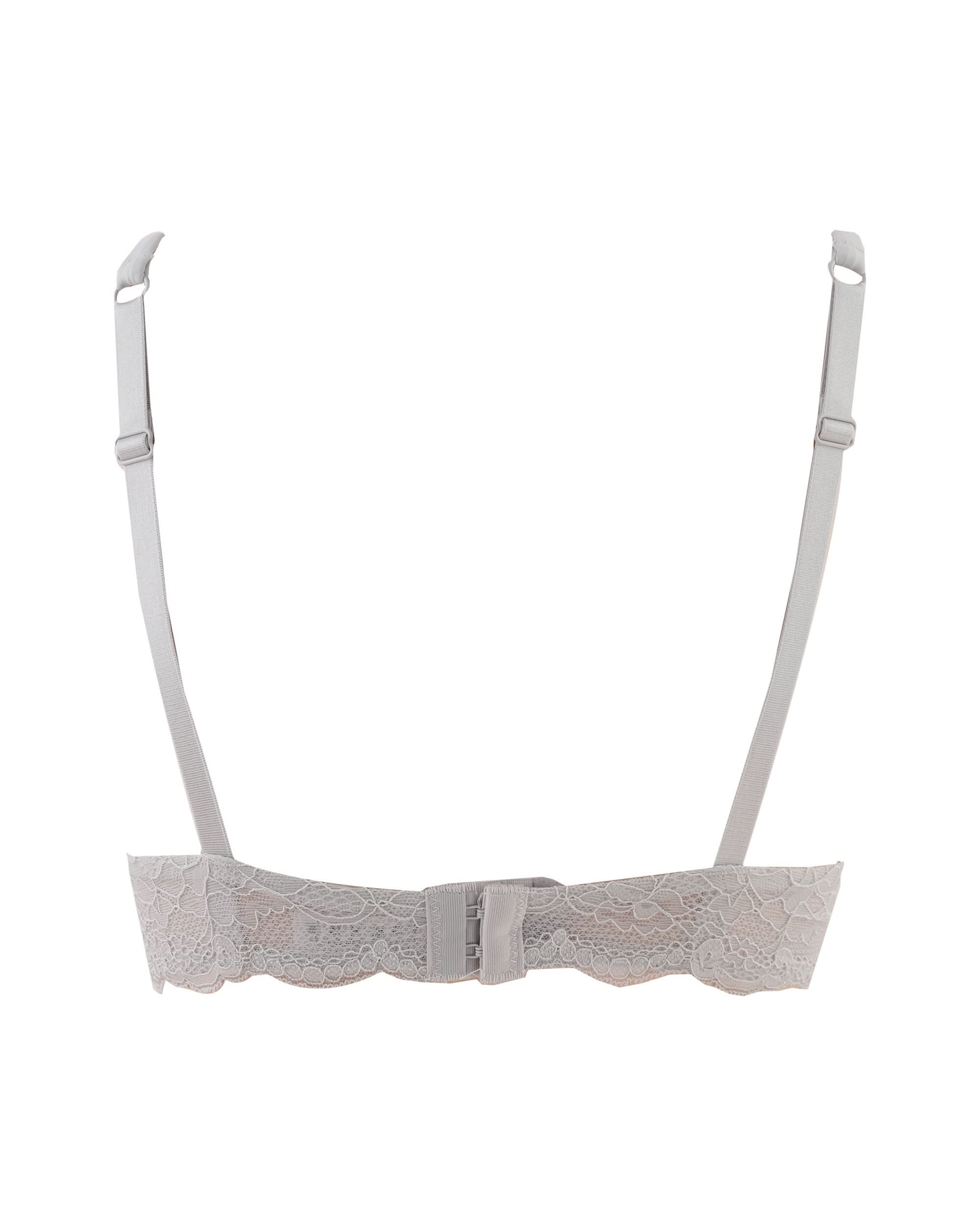 Eminent Women's Bra, Women Bras, Eminent, Chase Value