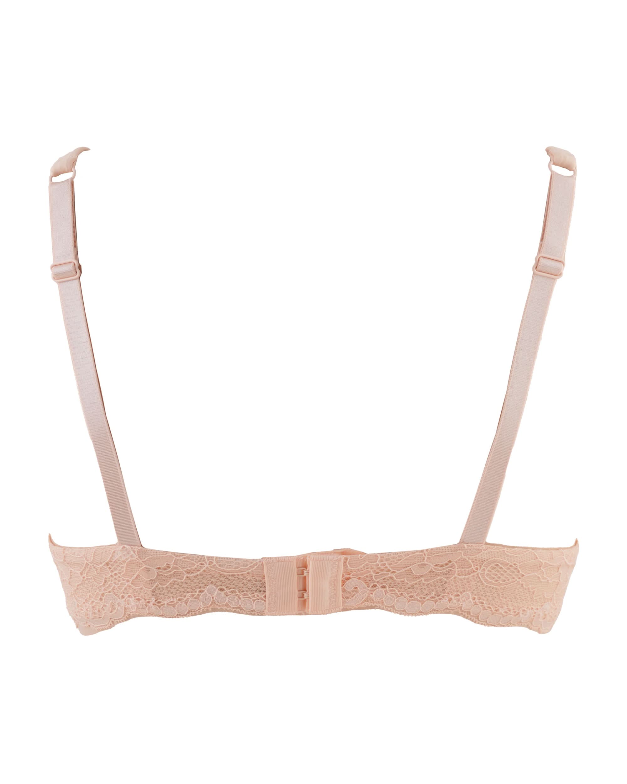 Eminent Women's Bra, Women Bras, Eminent, Chase Value