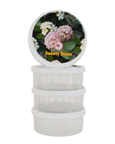 Sweety Storage Box – 4 Pcs, Tiffin Boxes & Bottles, Chase Value, Chase Value
