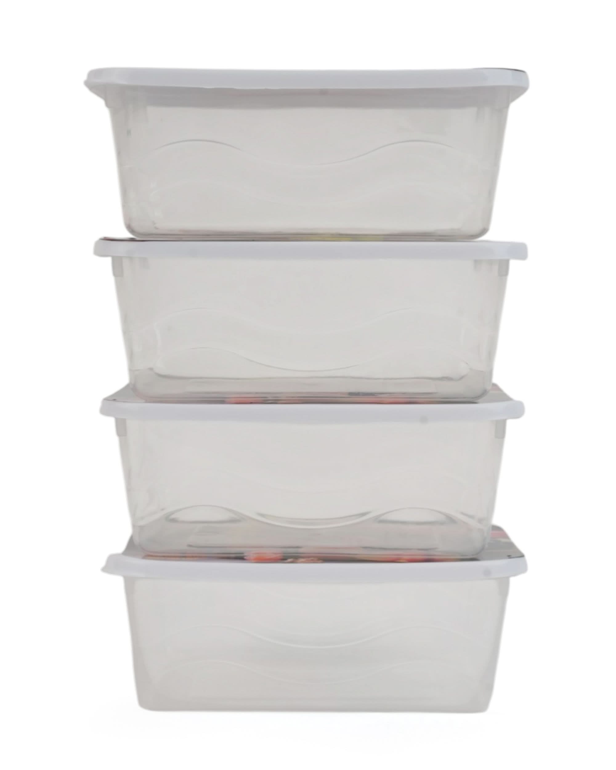 Storage Box 4 Pcs Set, Tiffin Boxes & Bottles, Chase Value, Chase Value