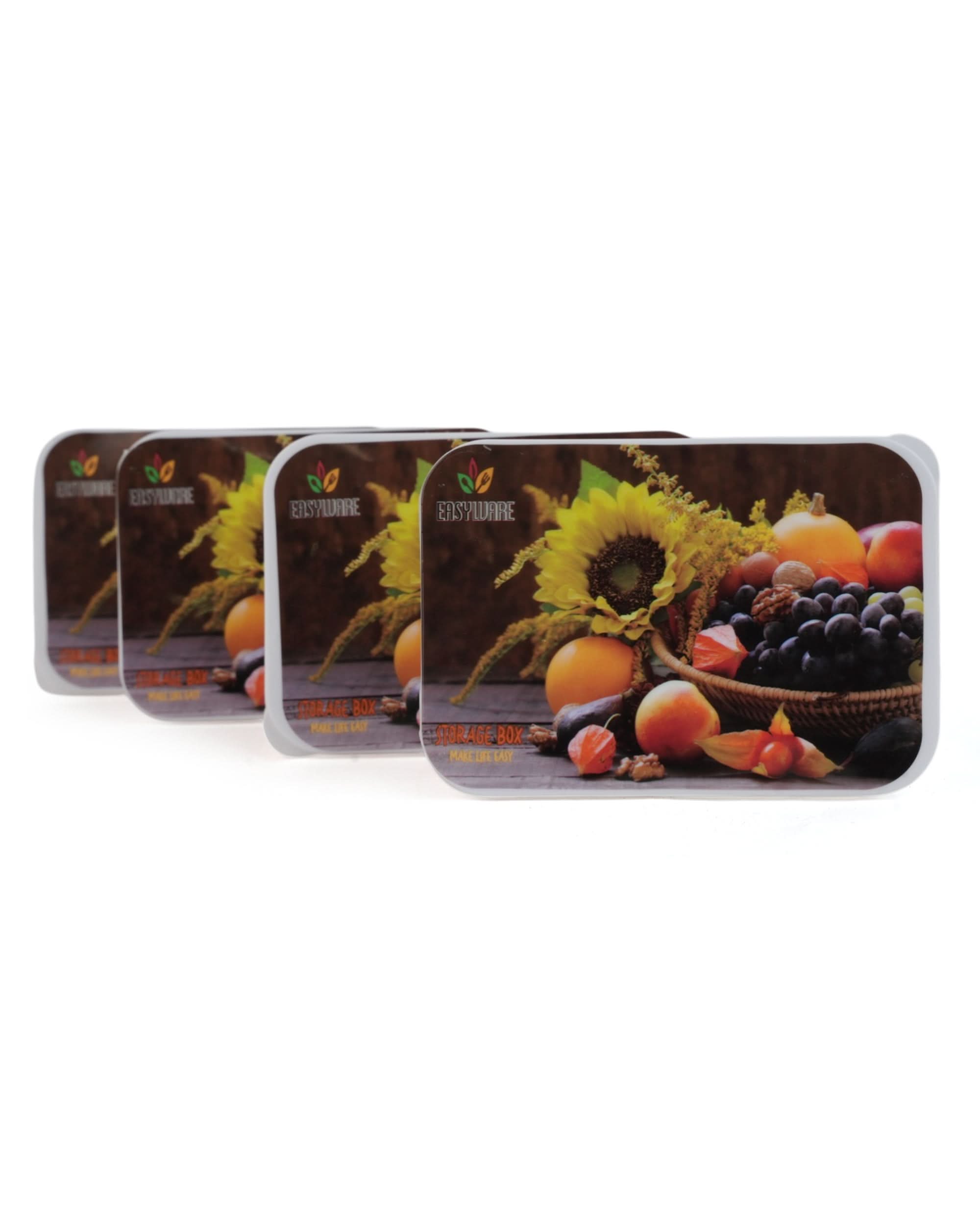 Storage Box 4 Pcs Set, Tiffin Boxes & Bottles, Chase Value, Chase Value