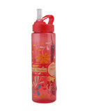 Travel Water Bottle 600 ML, Tiffin Boxes & Bottles, Chase Value, Chase Value