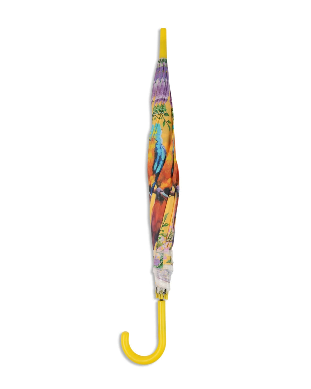 Classic Rain Umbrella, Umbrellas, Chase Value, Chase Value