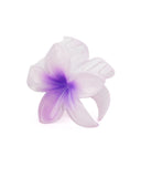 Women's Hair Catcher