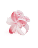 Women's Hair Catcher