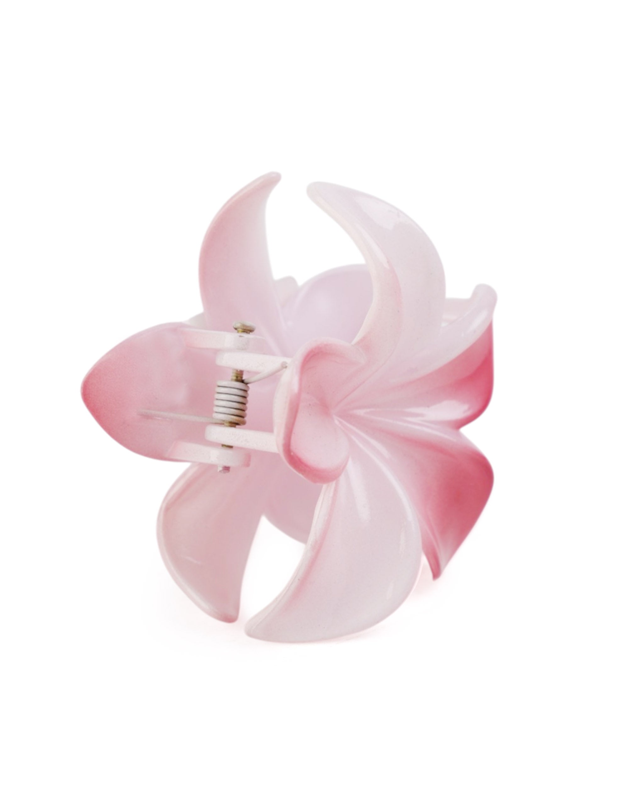 Women's Hair Catcher